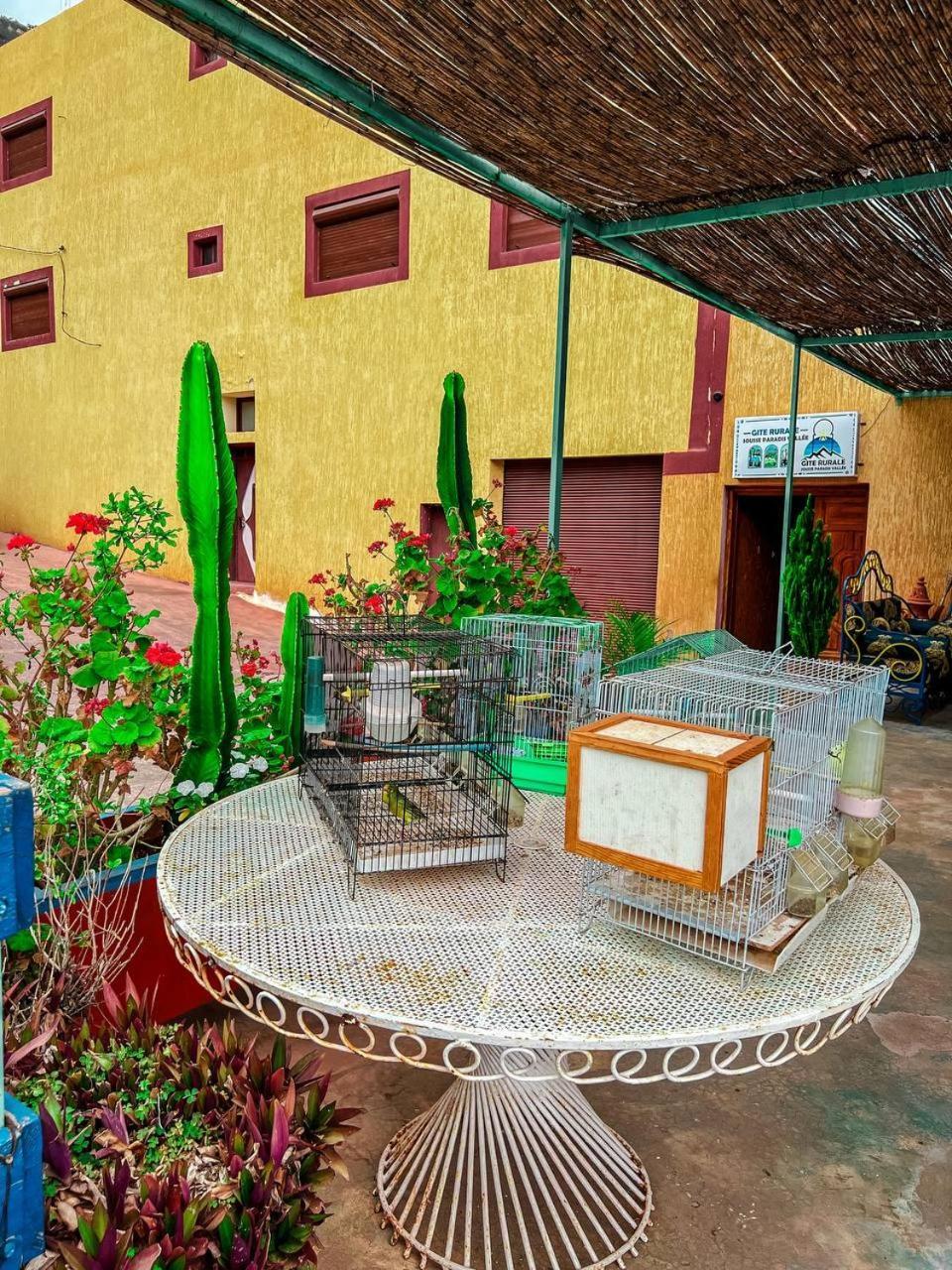 Gite Rurale Sousse Paradis Vallee Tagherat Anekrim Esterno foto